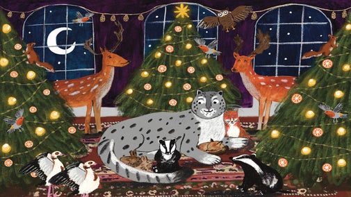 A drawn interior christmas scene with brtish wildlife with the snow leopard who is sitting on a rug surrounded by three christmas trees